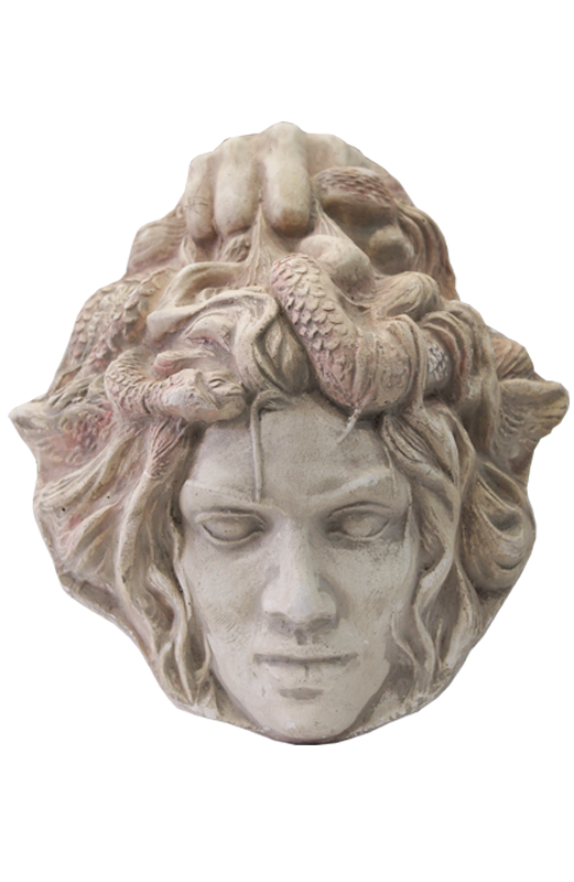 TESTA MEDUSA